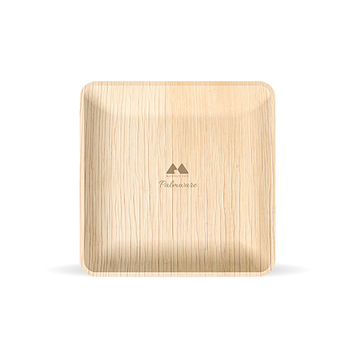 10" Square plate